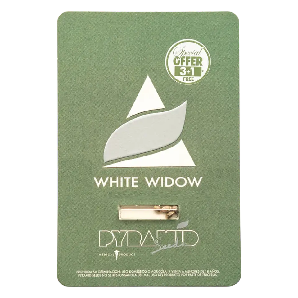 White Widow 3+1 Uds Pyramid 1