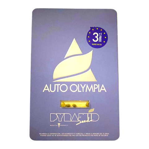 OLYMPIA AUTO 3+1UDS - PYRAMID SEEDS