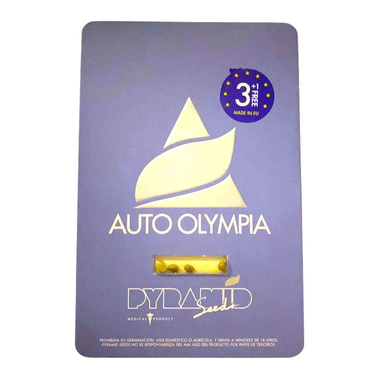 OLYMPIA AUTO 3+1UDS - PYRAMID SEEDS 1