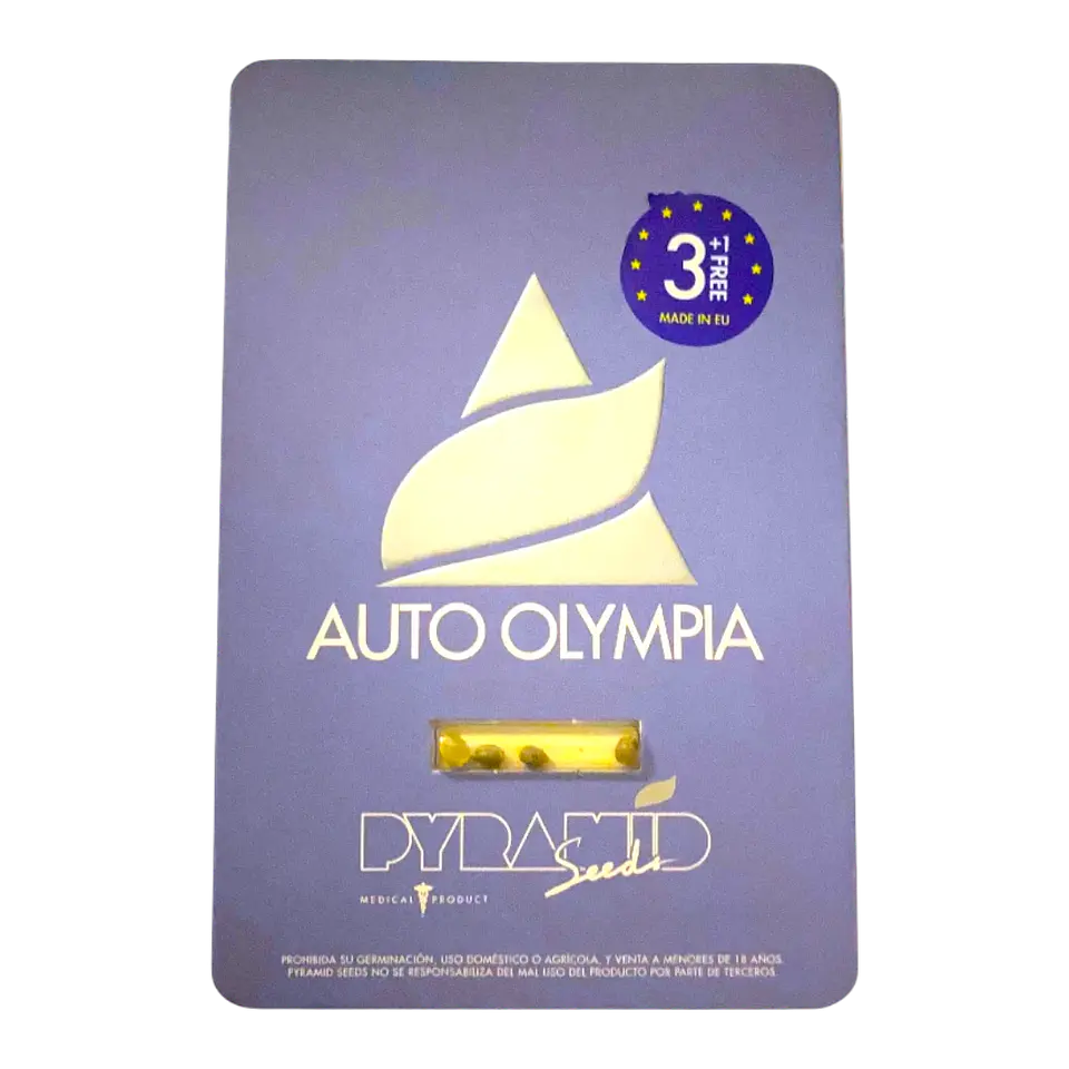 OLYMPIA AUTO 3+1UDS - PYRAMID SEEDS 1