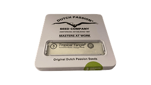 Tropical Tangie 3uds Dutch Passion | Semillas Sativa Cítrica XXL