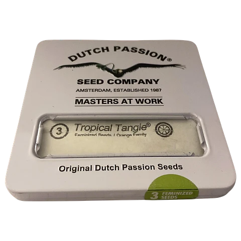 Tropical Tangie 3uds Dutch Passion | Semillas Sativa Cítrica XXL
