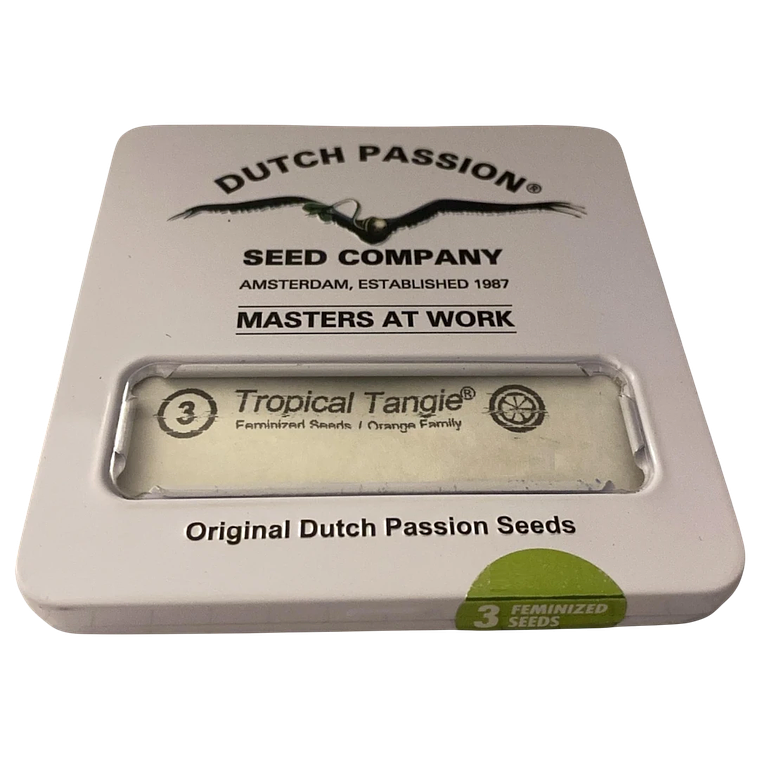 Tropical Tangie 3uds Dutch Passion | Semillas Sativa Cítrica XXL 1