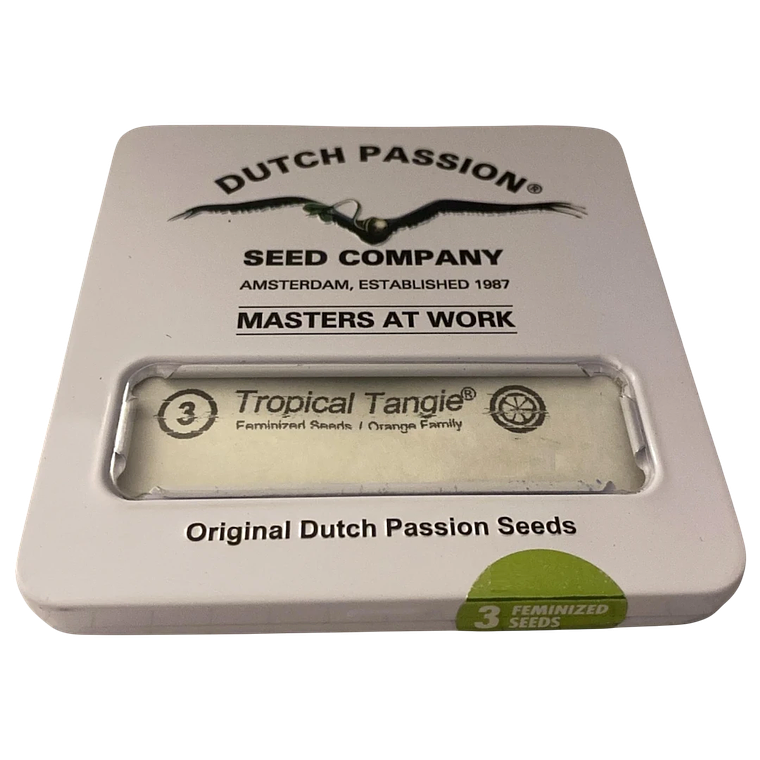 Tropical Tangie 3uds Dutch Passion | Semillas Sativa Cítrica XXL 1