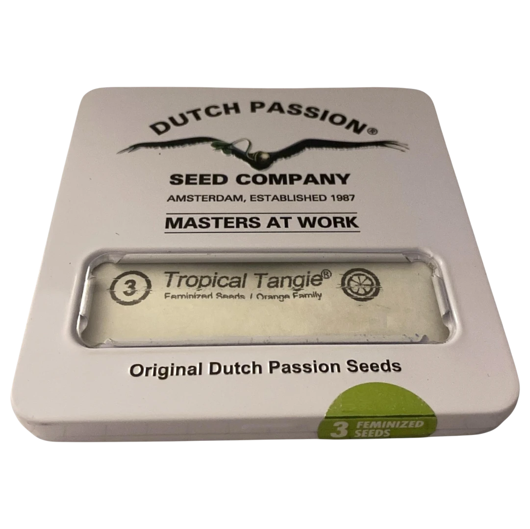 Tropical Tangie 3uds Dutch Passion | Semillas Sativa Cítrica