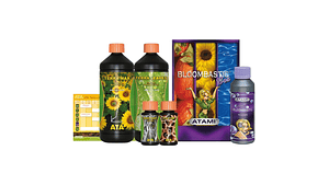 BOX BLOOMBASTIC TERRA