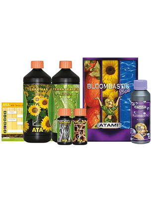 BOX BLOOMBASTIC TERRA