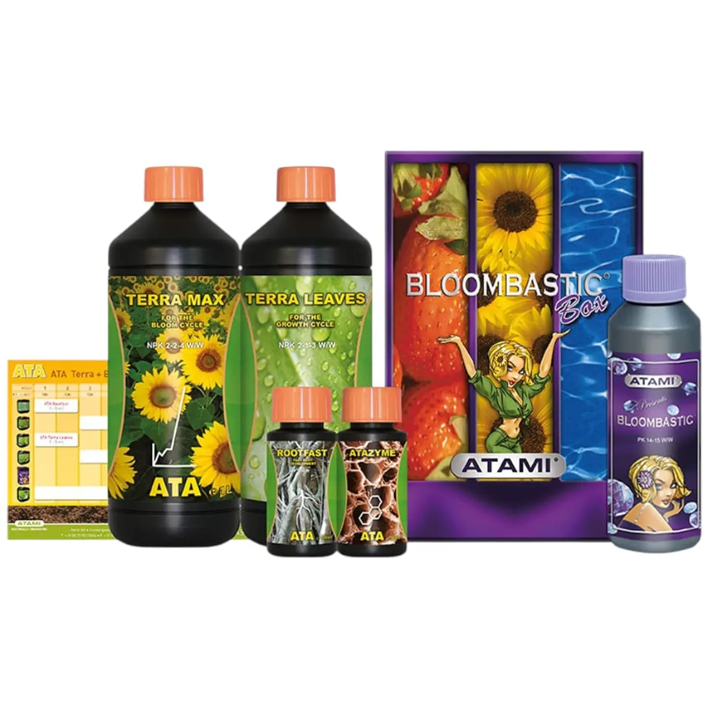 BOX BLOOMBASTIC TERRA 1