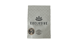   EXCLUSIVE SEEDS AMNESIA 3+2UDS