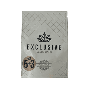   EXCLUSIVE SEEDS AMNESIA 3+2UDS