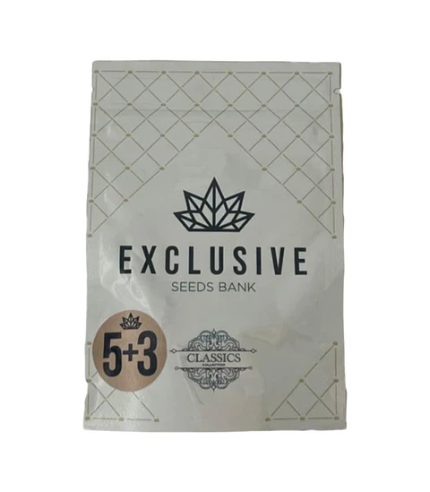   EXCLUSIVE SEEDS AMNESIA 3+2UDS