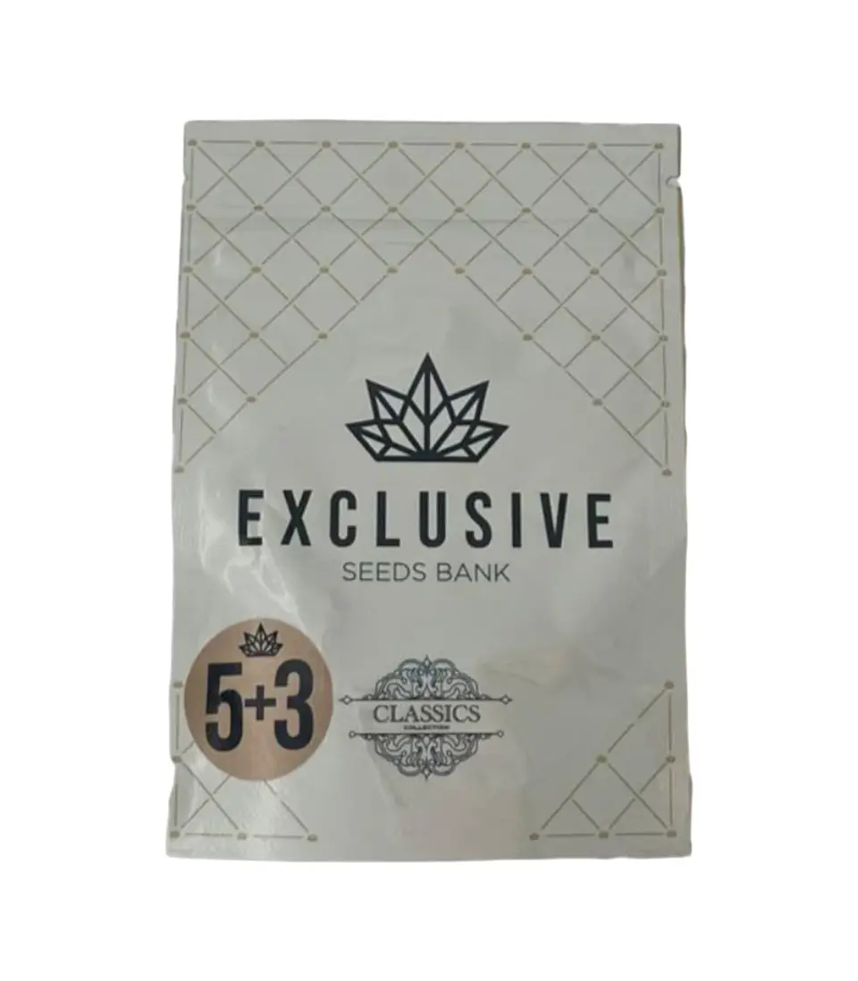   EXCLUSIVE SEEDS AMNESIA 3+2UDS 1