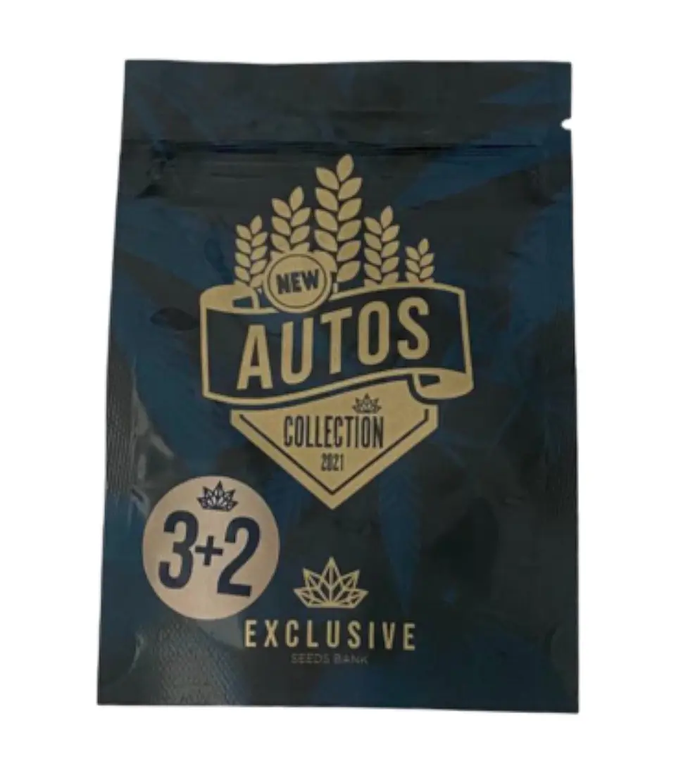 EXCLUSIVE SEEDS BIG BLUE AUTO 3+2UDS 1