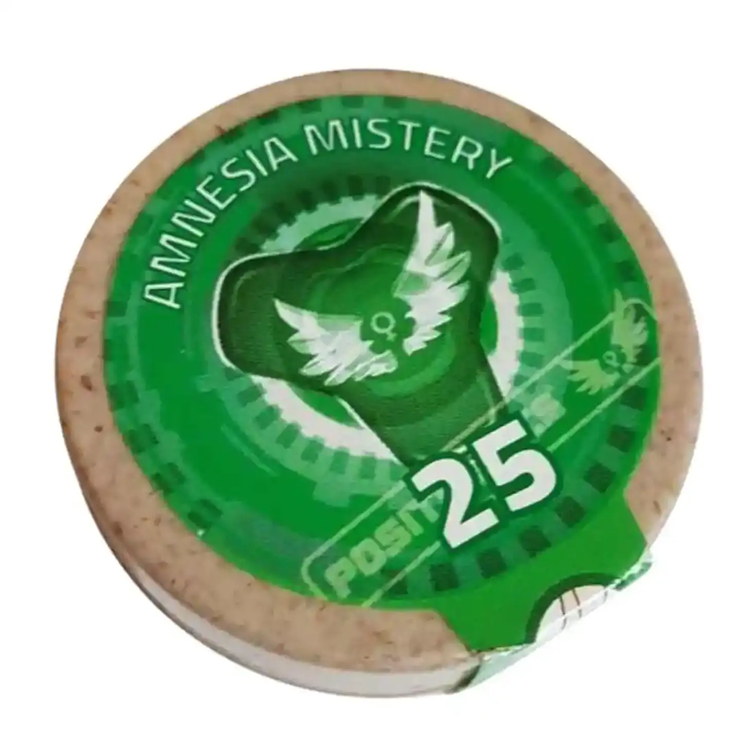 AMNESIA MISTERY 25UDS   POSITRONICS 1
