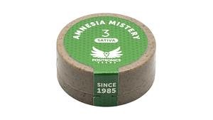 AMNESIA MISTERY 3UDS POSITRONICS