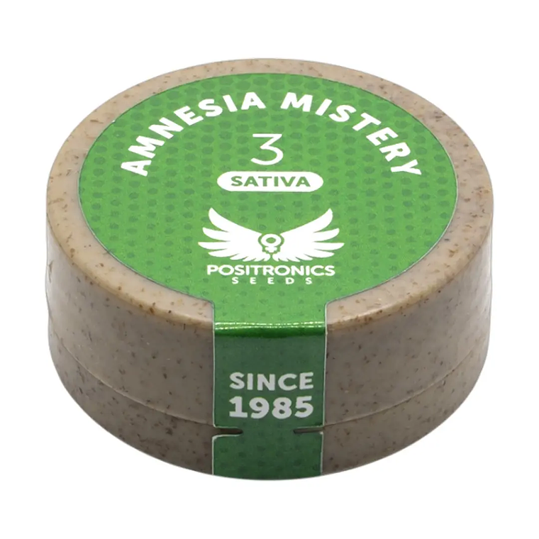 AMNESIA MISTERY 3UDS POSITRONICS 1