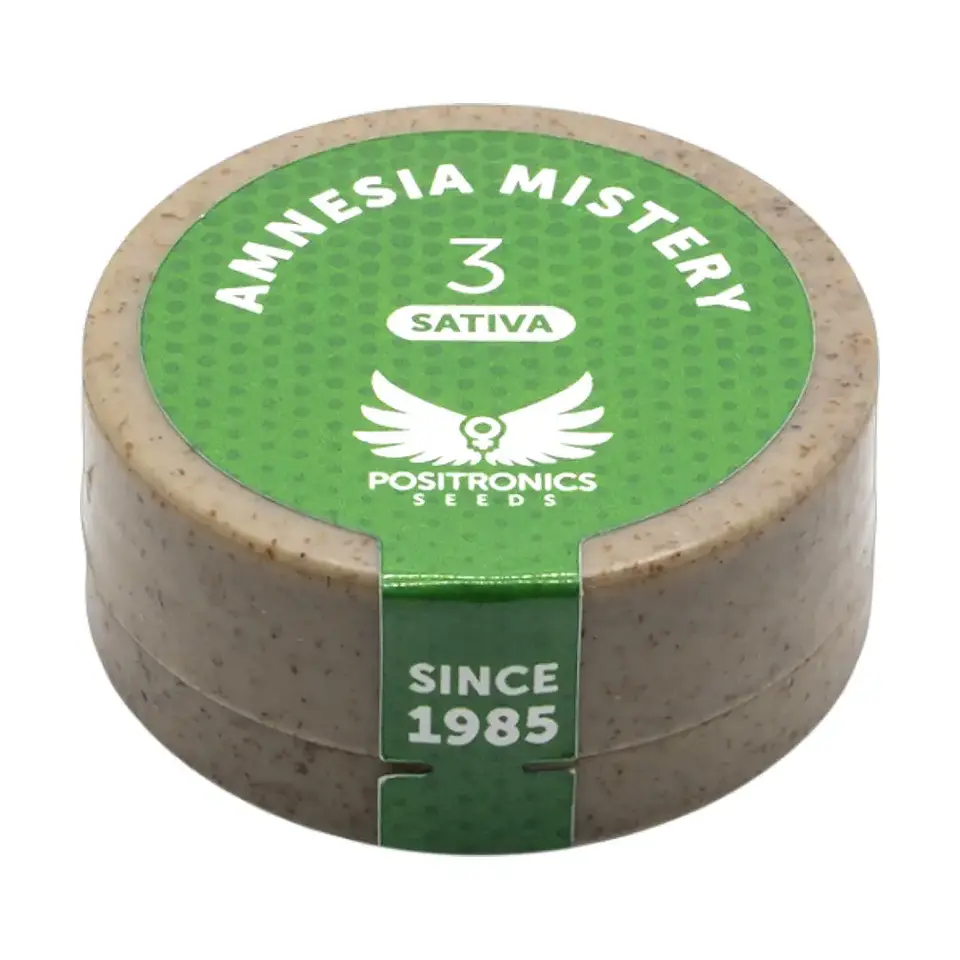 AMNESIA MISTERY 3UDS POSITRONICS 1