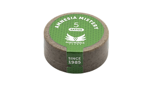AMNESIA MISTERY 5UDS POSITRONICS