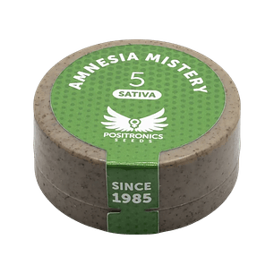 AMNESIA MISTERY 5UDS POSITRONICS