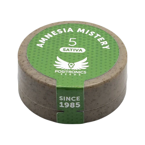 AMNESIA MISTERY 5UDS POSITRONICS
