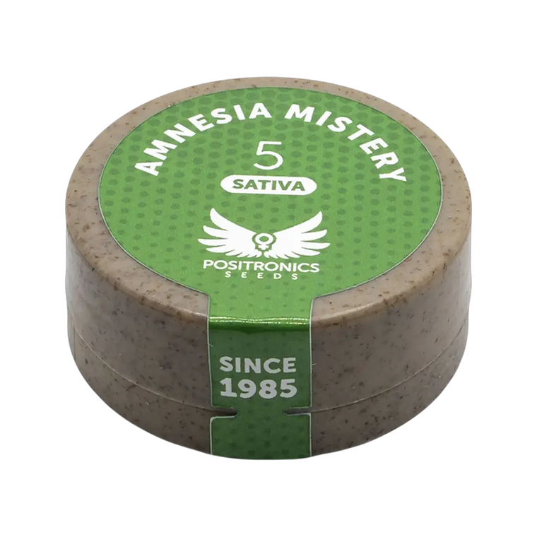 AMNESIA MISTERY 5UDS POSITRONICS 1