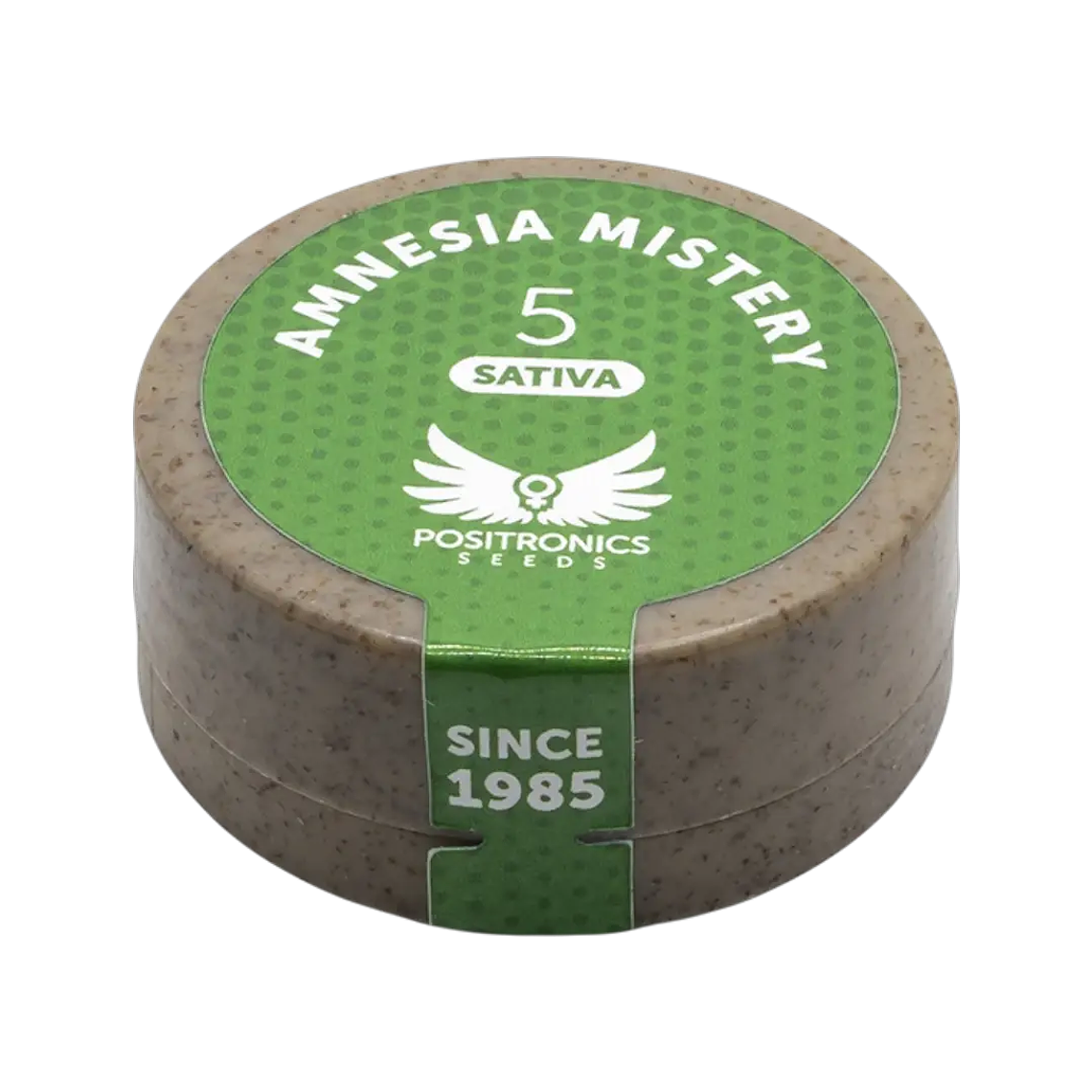 AMNESIA MISTERY 5UDS POSITRONICS 1