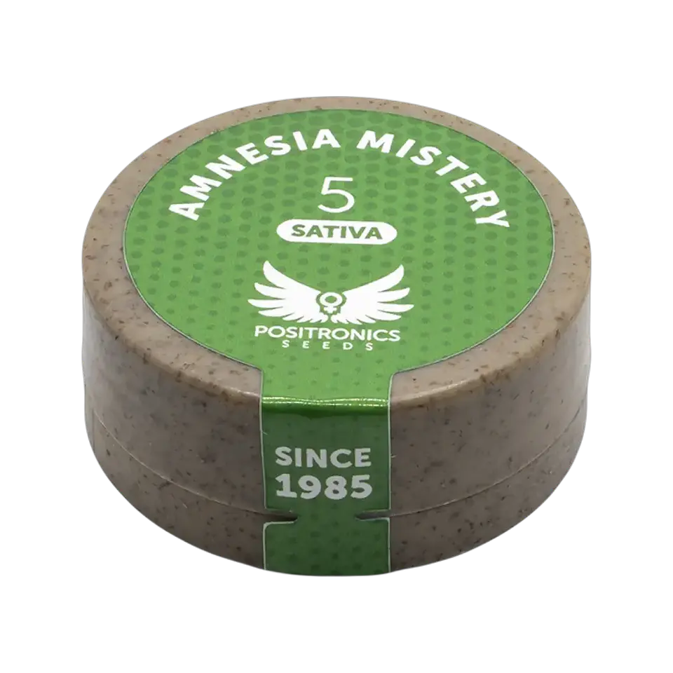 AMNESIA MISTERY 5UDS POSITRONICS 1