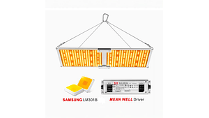 Panel LED Quantum Board 240W - Samsung LM301B + Mean Well 