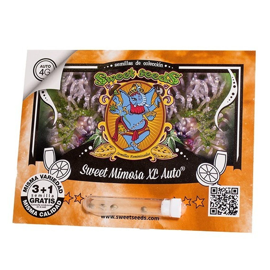 SWEET MIMOSA XL AUTO X25-SWEET SEEDS 1