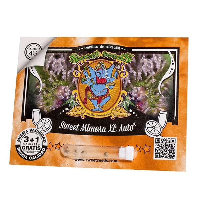 SWEET MIMOSA XL AUTO X25-SWEET SEEDS 1