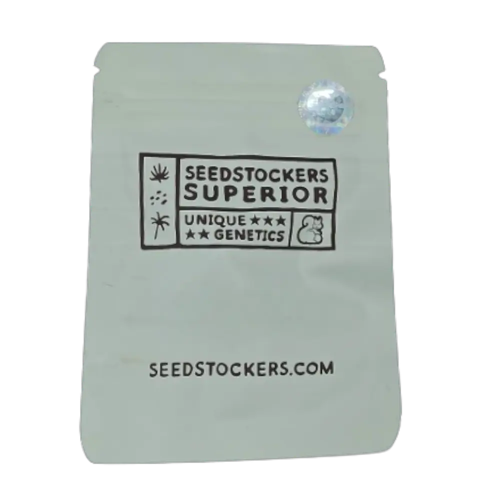 SEEDSTOCKERS APOLLO BLACK CHERRY AUTO 3UDS 1