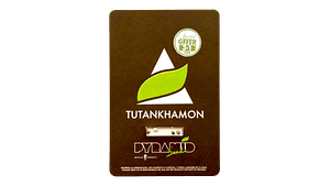 PYRAMID SEEDS TUTANKHAMON FAST VERSION 3+1UDS