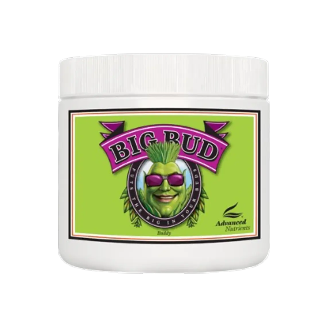 Big Bud Powder 500g Advanced Nutrients 1