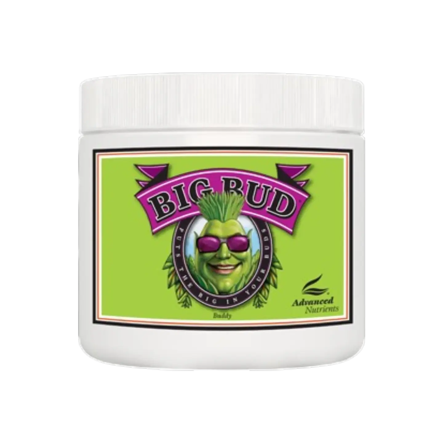 Big Bud Powder 500g Advanced Nutrients 1