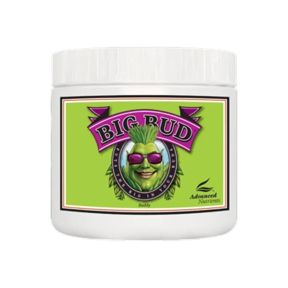 Big Bud Powder 500g Advanced Nutrients 1