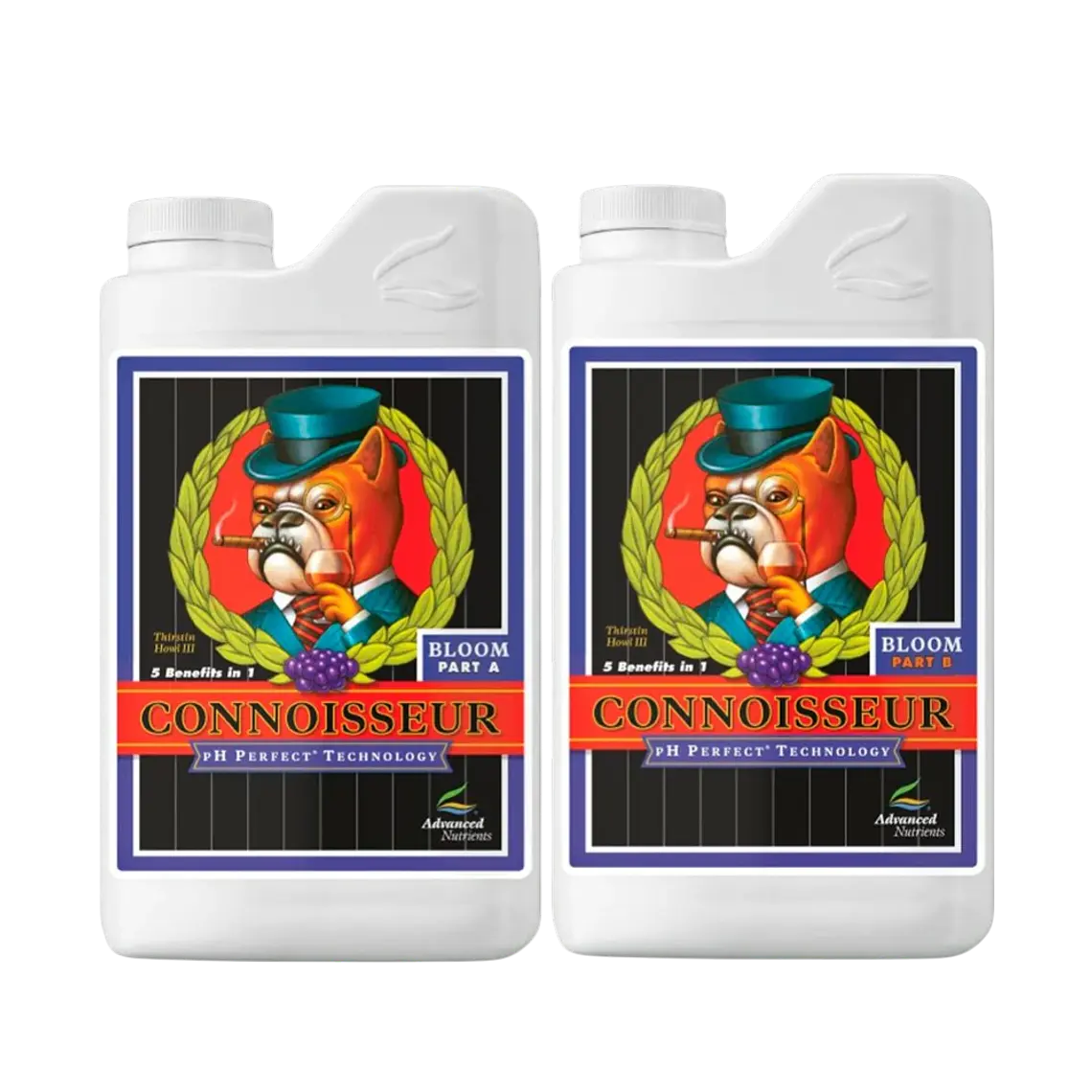 Connoisseur Bloom A+B (pH Perfect) Advanced Nutrients 1