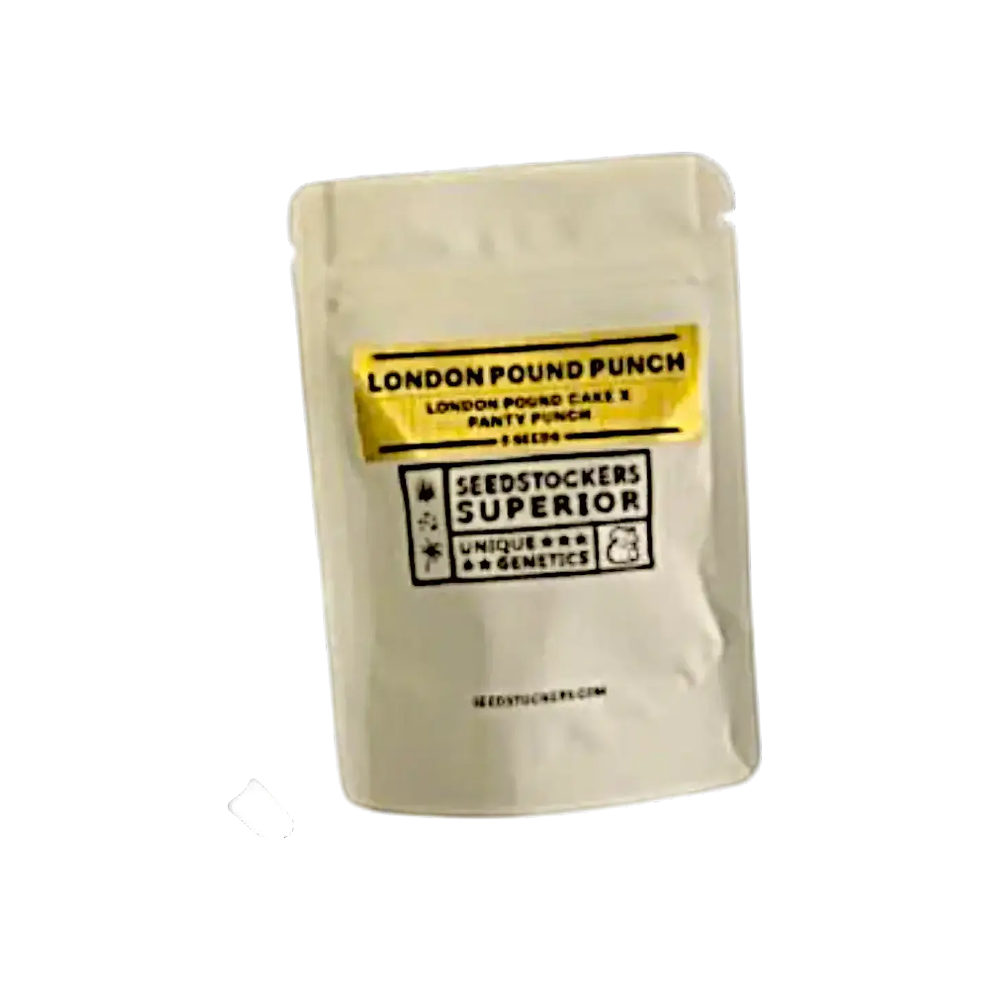 London Pound Punch Fem (5 Uds) | Seedstockers 1