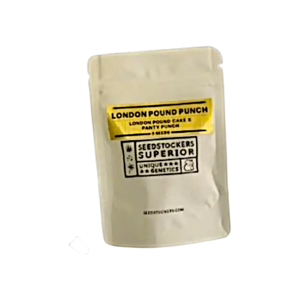 London Pound Punch Fem (5 Uds) | Seedstockers 1