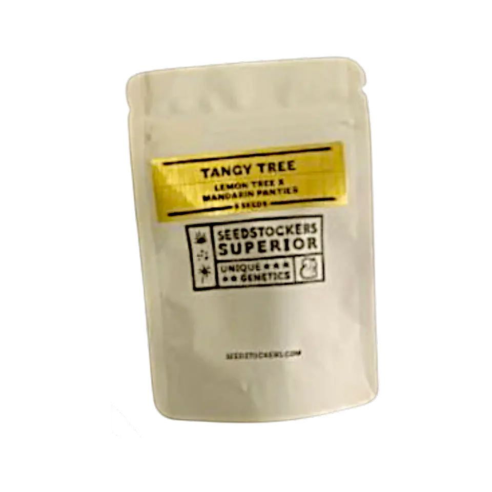 Tangy Tree Fem (5 Uds) - Seedstockers 1