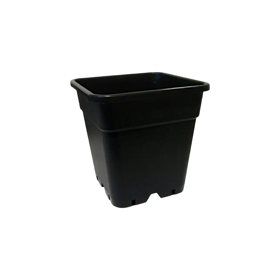 Kit Indoor carpa Completo 60x60cm 3