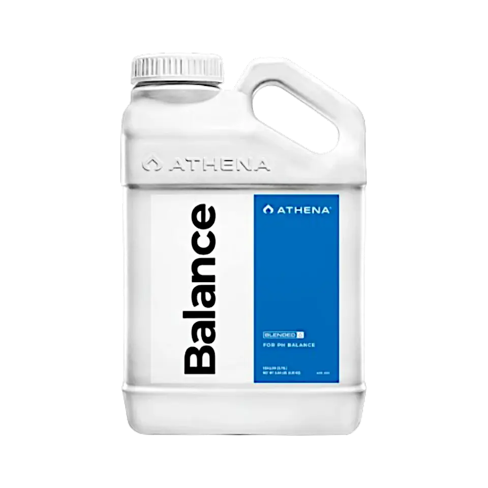 Athena Balance 32 oz (946 ml) 1