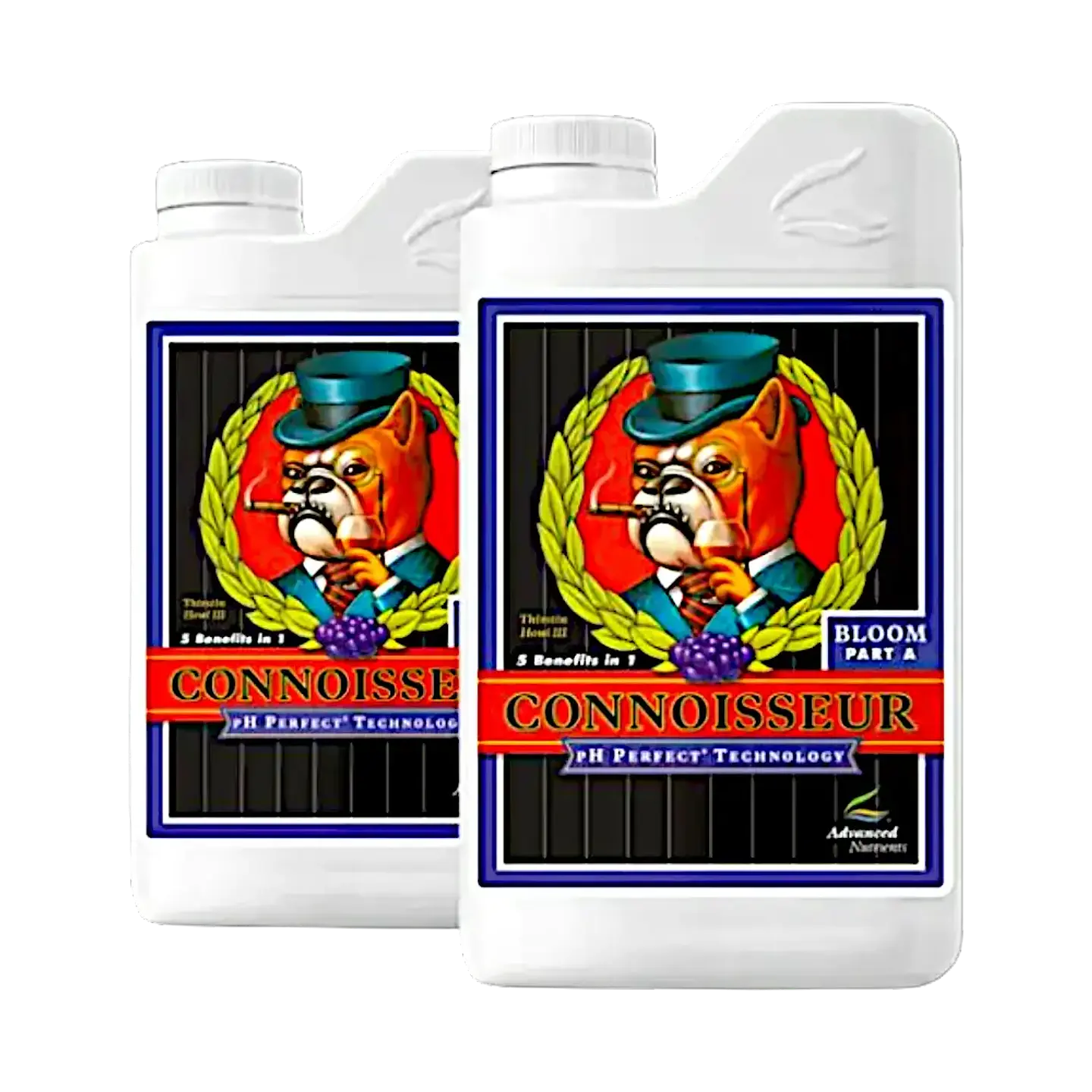 Connoisseur Bloom A+B 1 Litro (pH Perfect) Advanced Nutrients 1