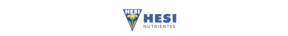 Hesi