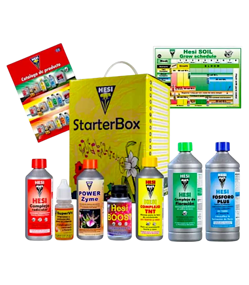 STARTER BOX SUELO HESI 3