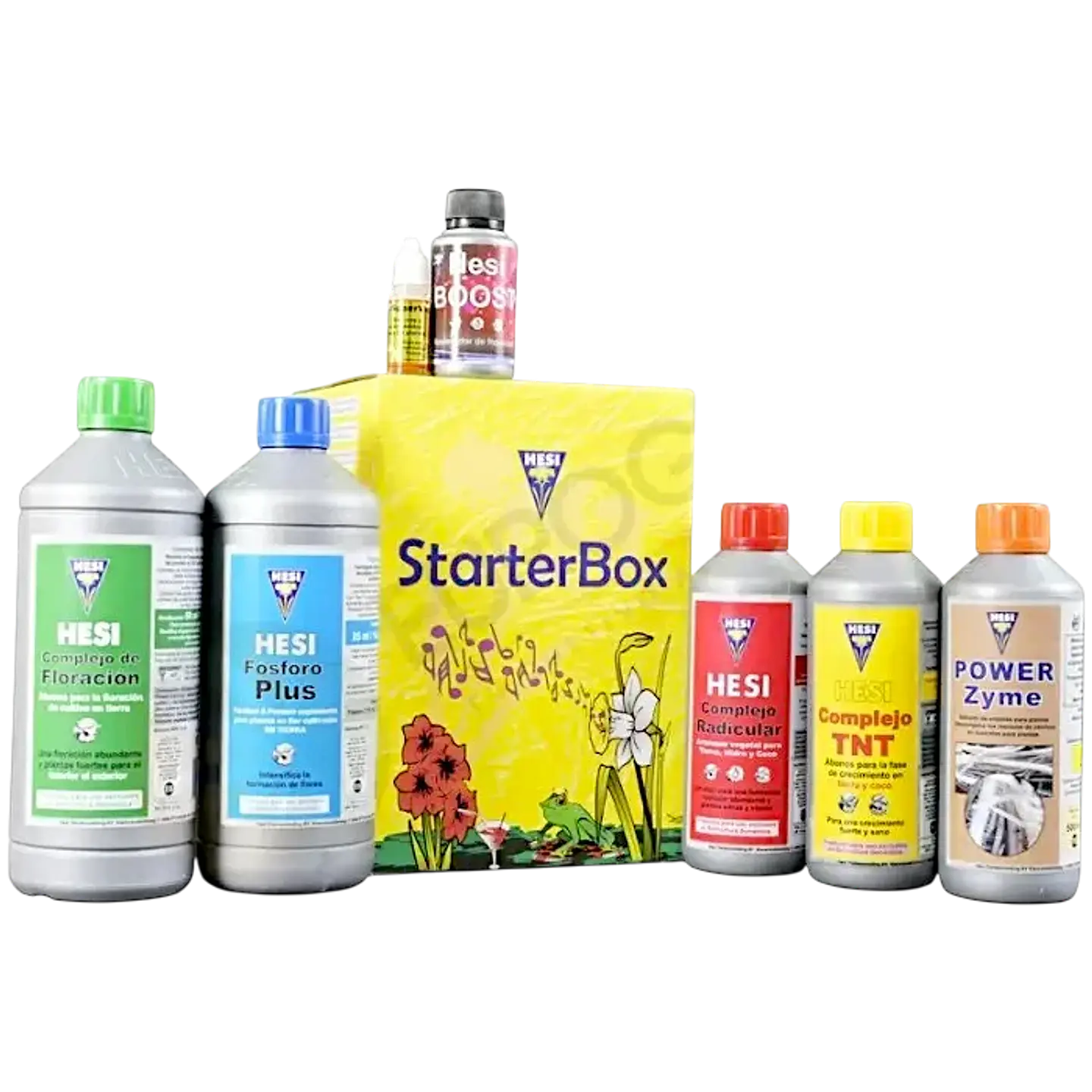 STARTER BOX SUELO HESI 1
