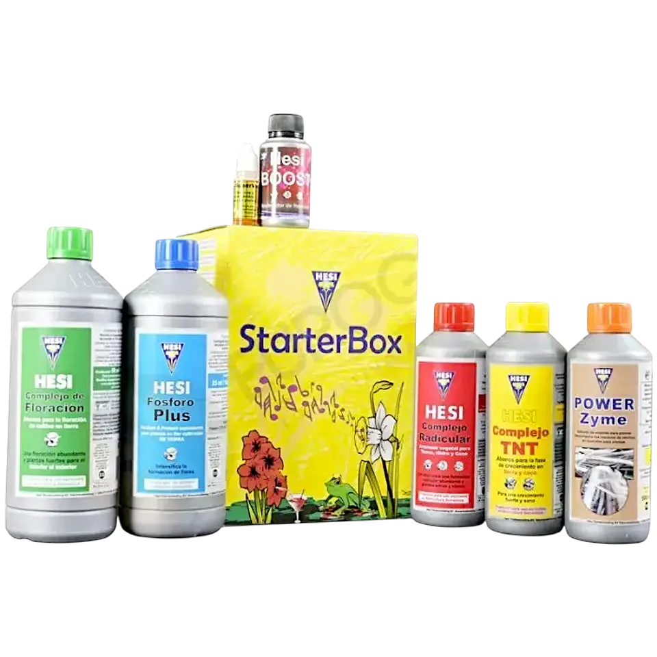 STARTER BOX SUELO HESI 1