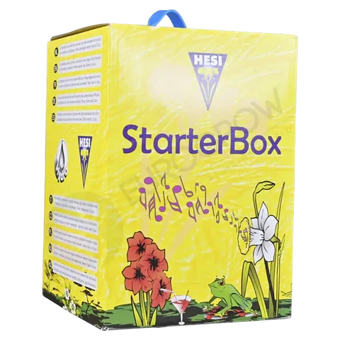 STARTER BOX SUELO HESI