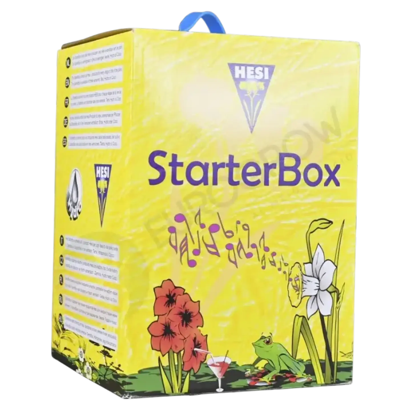 STARTER BOX SUELO HESI 2