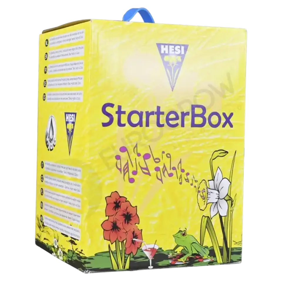 STARTER BOX SUELO HESI 2