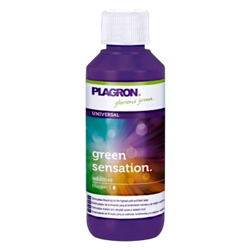 Easy Pack Natural 550ml Plagron 3